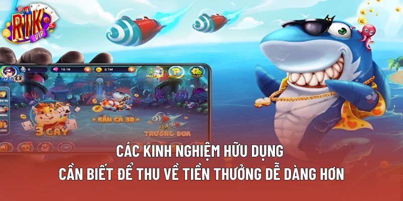 Các kinh nghiệm hữu dụng cần biết để thu về tiền thưởng dễ dàng hơn Các kinh nghiệm hữu dụng cần biết để thu về tiền thưởng dễ dàng hơn